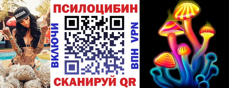 Псилоцибиновые грибы GOLDEN TEACHER Купить где Чёрмоз